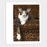 All Ears Cat Happy Birthday Greeting Card