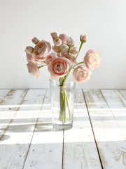 Blush Ranunculus Bundle 11"