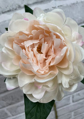 Blush Peony Stem 23"