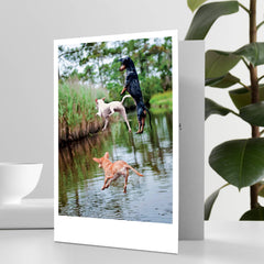 3 Jumping Dogs Happy Birthday Greeting Card