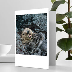 Baby Otter Smiling Happy Birthday Greeting Card