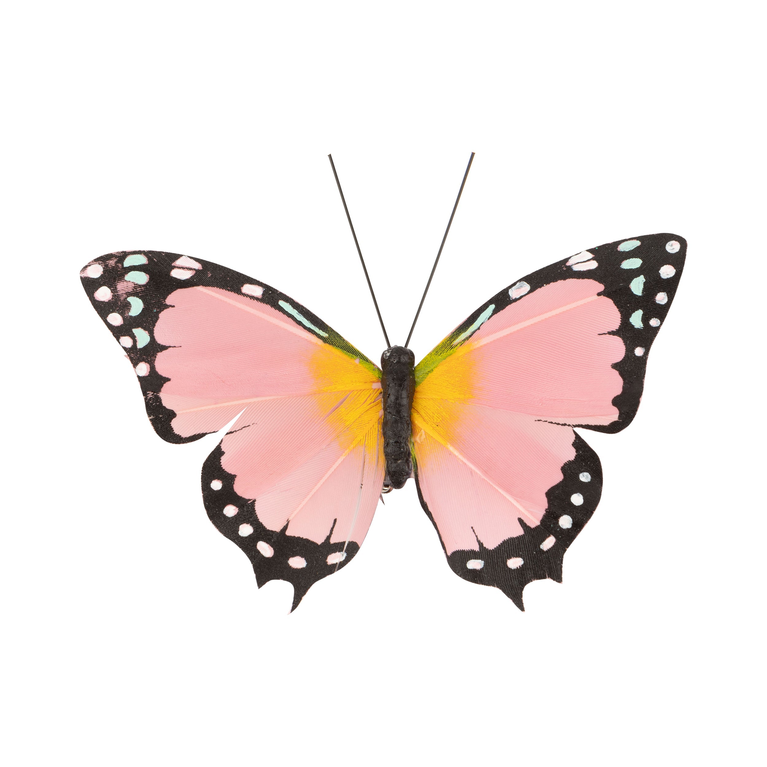 Butterfly Clip - 3 colours