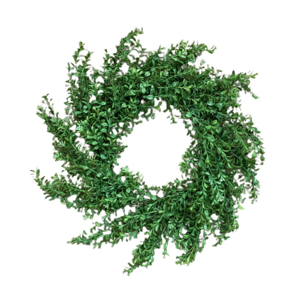 Boxwood Wreath - 24”