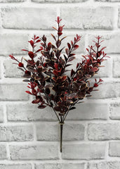 Burgundy Euonymus Bush
