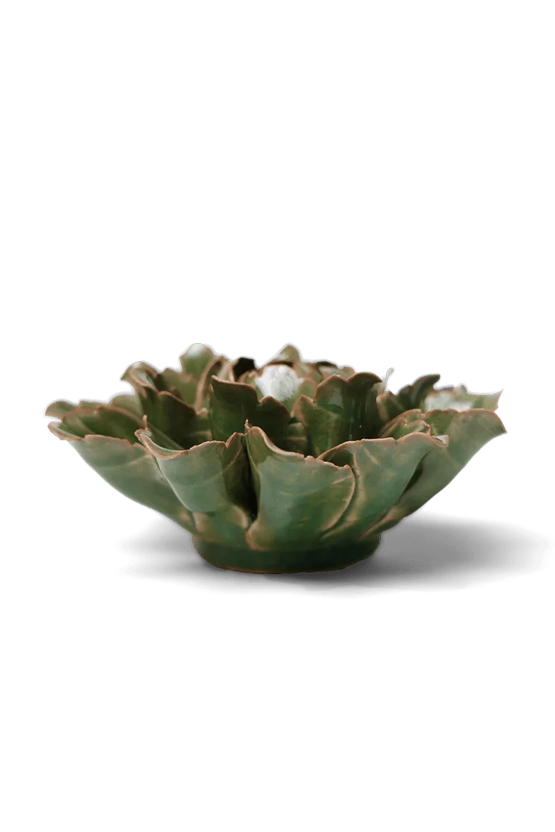Avocado Green Sorbet Peony