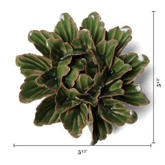 Avocado Green Sorbet Peony