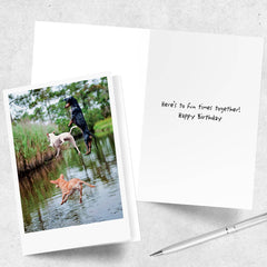 3 Jumping Dogs Happy Birthday Greeting Card