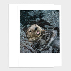 Baby Otter Smiling Happy Birthday Greeting Card